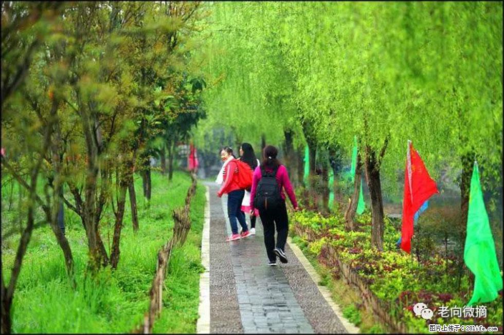 【春天，广西桂林灌阳县向您发出邀请！】江口老街又逢春 - 游山玩水 - 蚌埠生活社区 - 蚌埠28生活网 bengbu.28life.com