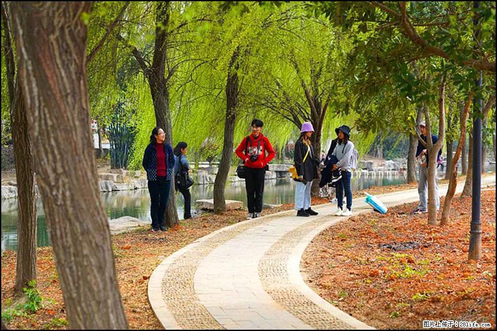 【春天，广西桂林灌阳县向您发出邀请！】江口老街又逢春 - 游山玩水 - 蚌埠生活社区 - 蚌埠28生活网 bengbu.28life.com