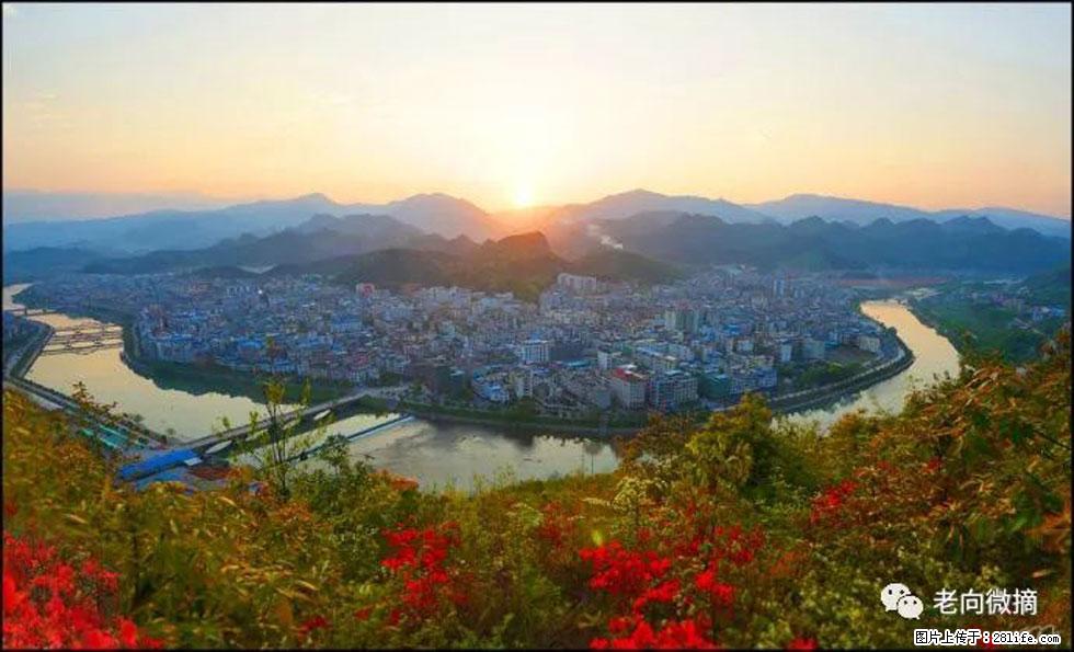 【春天，广西桂林灌阳县向您发出邀请！】登麒麟山，相约映山红 - 游山玩水 - 蚌埠生活社区 - 蚌埠28生活网 bengbu.28life.com