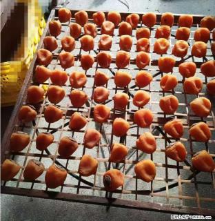 广西桂林平乐桥亭【柿饼之乡】2025年纯手工制作、无任何添加剂的第一批柿饼准备上市了，欢迎联系订购！ - 蚌埠28生活网 bengbu.28life.com