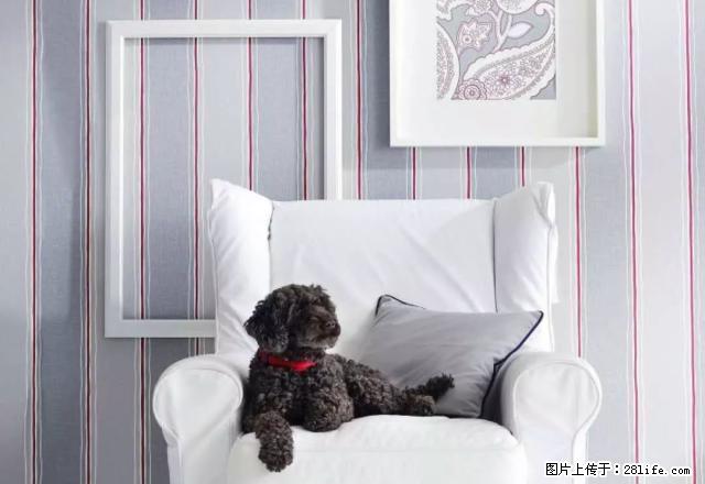 (单间出租)蚌医附近 滨河御景二十三楼精装修1间1厅设施齐 - 房屋出租 - 房屋租售 - 蚌埠分类信息 - 蚌埠28生活网 bengbu.28life.com