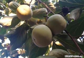 (单间出租)地委宿舍二楼中等装修设施齐全 - 蚌埠28生活网 bengbu.28life.com