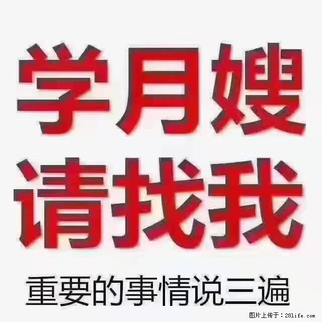 【招聘】月嫂，上海徐汇区 - 职场交流 - 蚌埠生活社区 - 蚌埠28生活网 bengbu.28life.com