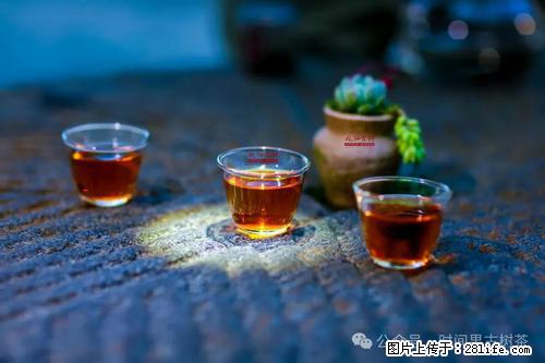 时间果百年古树2025年春红茶 - 购物交流 - 蚌埠生活社区 - 蚌埠28生活网 bengbu.28life.com