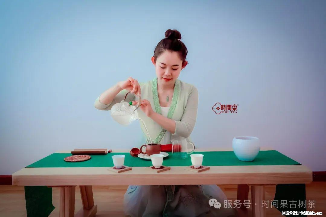 时间果百年古树龙珠普洱生茶 - 购物交流 - 蚌埠生活社区 - 蚌埠28生活网 bengbu.28life.com