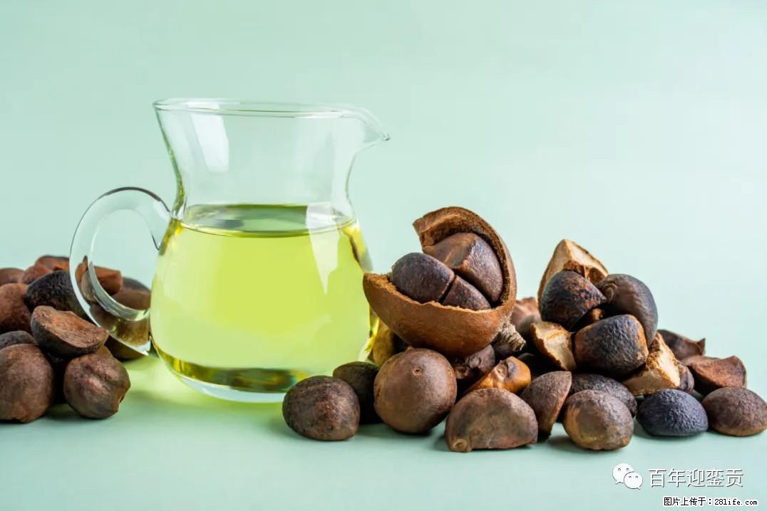世界没有真相,只有认知,最好的食用油是中国的山茶油! - 蚌埠生活资讯 - 蚌埠28生活网 bengbu.28life.com