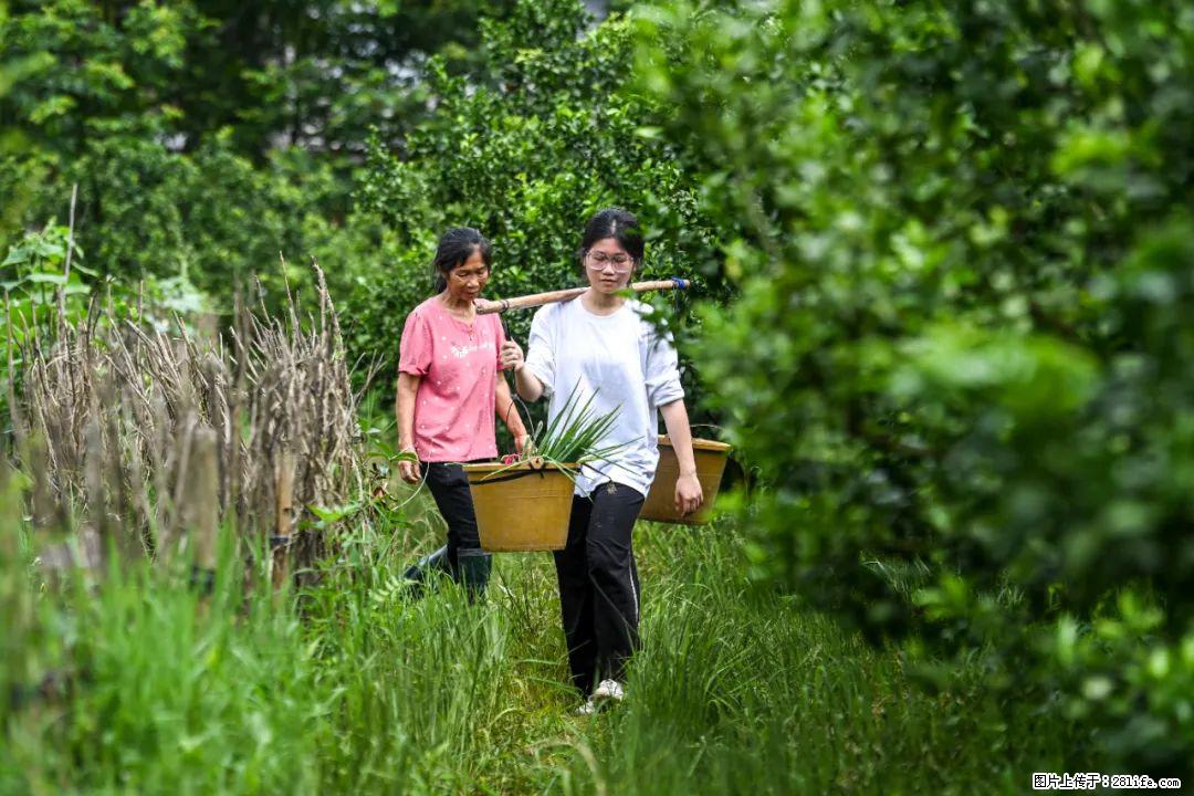 全网追的“扁担女孩”，找了一份暑假工，时薪12元 - 蚌埠生活资讯 - 蚌埠28生活网 bengbu.28life.com