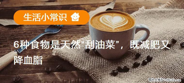 【生活小常识】6种食物是天然“刮油菜”，既减肥又降血脂 - 蚌埠生活资讯 - 蚌埠28生活网 bengbu.28life.com