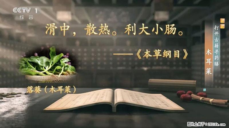 比牛奶补钙还厉害!凉血解毒、稳血糖...这菜冬天必吃,很多人却当草 - 蚌埠生活资讯 - 蚌埠28生活网 bengbu.28life.com