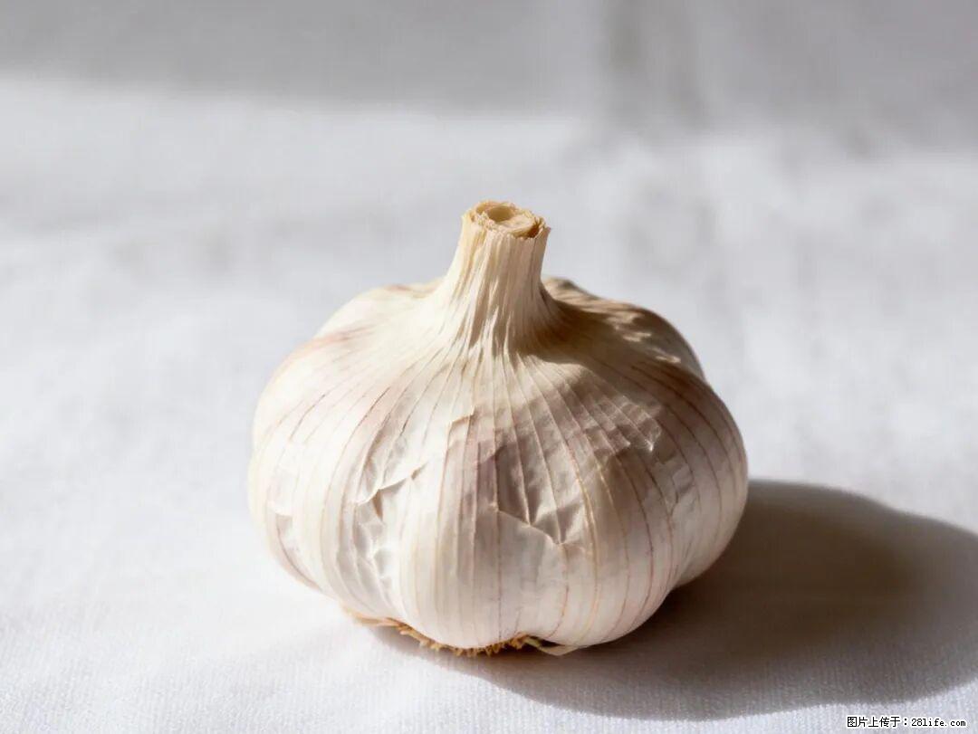 关于大蒜，除了“天然抗生素”，这4个谣言更该警惕! - 蚌埠生活资讯 - 蚌埠28生活网 bengbu.28life.com