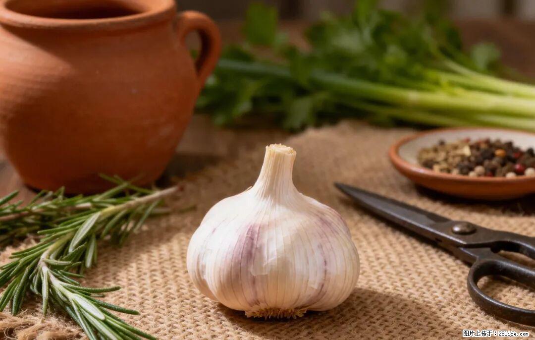 关于大蒜，除了“天然抗生素”，这4个谣言更该警惕! - 蚌埠生活资讯 - 蚌埠28生活网 bengbu.28life.com