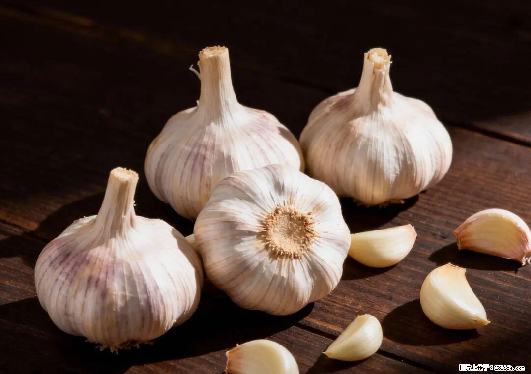 关于大蒜，除了“天然抗生素”，这4个谣言更该警惕! - 蚌埠生活资讯 - 蚌埠28生活网 bengbu.28life.com