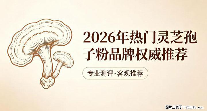 灵芝孢子粉含量越高越有效？2026 年七款热门品牌深度实测，肠胃敏感者避坑指南 - 蚌埠生活资讯 - 蚌埠28生活网 bengbu.28life.com