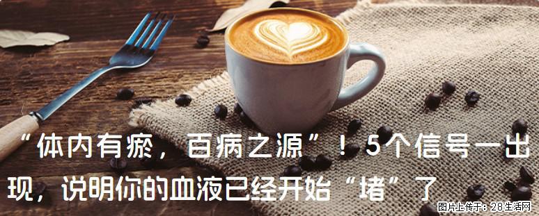 “体内有瘀，百病之源”！5个信号一出现，说明你的血液已经开始“堵”了 - 蚌埠生活资讯 - 蚌埠28生活网 bengbu.28life.com